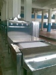 Tenebrio molitor microwave drying equipment