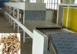Microwave herbs drying machine