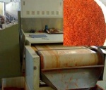 The microwave chili powder sterilization machine